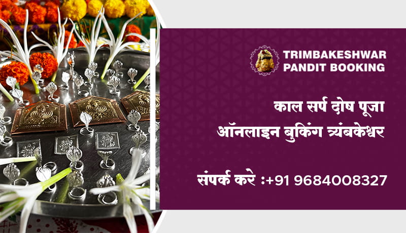 काल सर्प दोष पूजा ऑनलाइन बुकिंग त्र्यंबकेश्वर